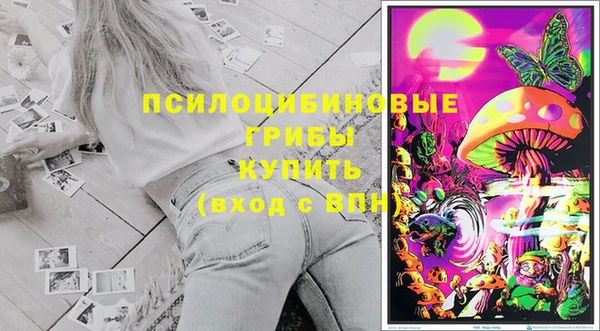 спайс Козловка