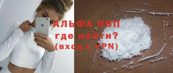 прущая мука Корсаков
