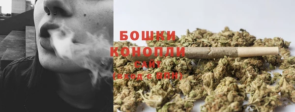 прущая мука Корсаков