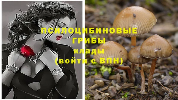 альфа пвп Коряжма