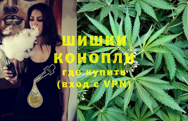 альфа пвп Коряжма