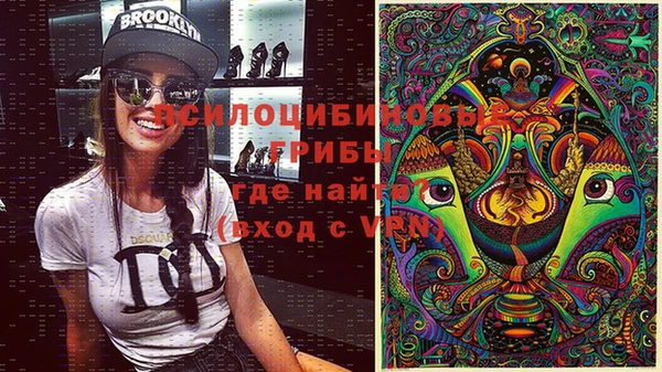 прущая мука Костерёво